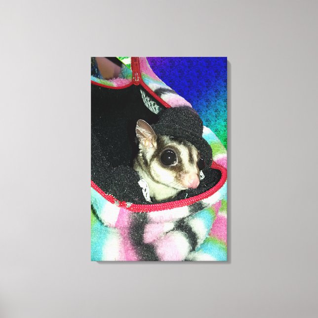 Impressão Em Tela Glider de Açúcar Vestindo Chapéu (Frente)