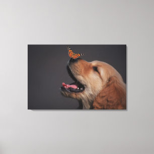 Impressão Em Tela Golden retriever com a borboleta em seu nariz