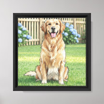 Golden Retriever e Hortênsias Azuis
