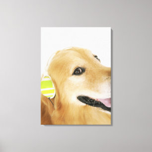 Impressão Em Tela Golden retriever que escuta a música