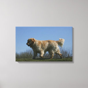 Impressão Em Tela Golden retriever que funciona 3