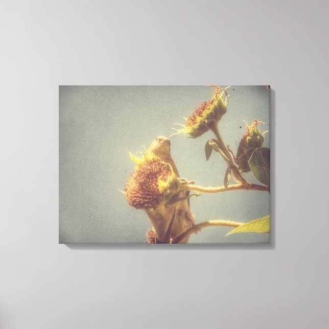 Impressão Em Tela Goldfinch Grunge (Frente)