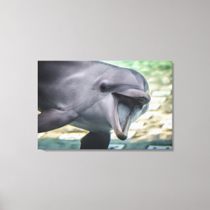 Impressão Em Tela Golfinho das imagens   de Getty