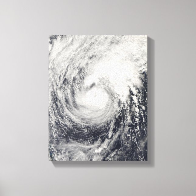 Impressão Em Tela Golfinho de tufão no mar das Filipinas (Frente)