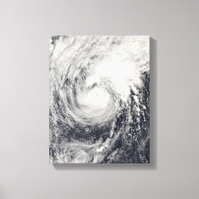 Impressão Em Tela Golfinho de tufão no mar das Filipinas (Frente)