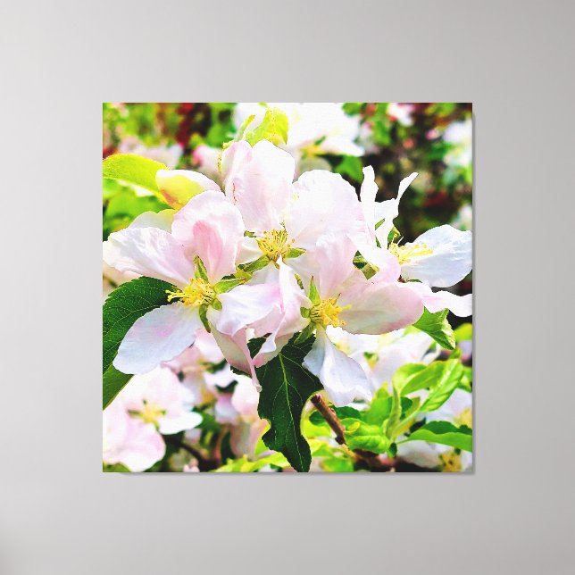 Impressão Em Tela Gorgeous Malus asiatica Foto (Frente)