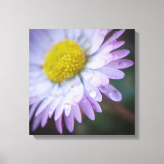 Impressão Em Tela Gotas de chuva em uma margarida