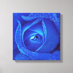 Impressão Em Tela Gotas De Chuva Num Rosa Azul