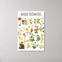 Impressão Em Tela Gráfico de Flor Silvestre Antiga
