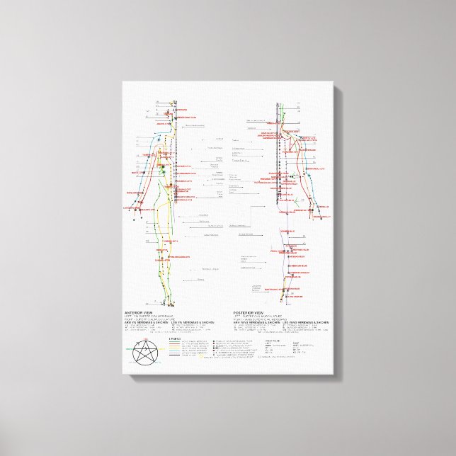 Impressão Em Tela Gráfico de Meridianos Humanos (Frente)