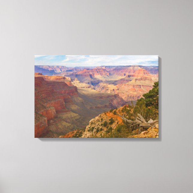 Impressão Em Tela Grand Canyon View (Frente)