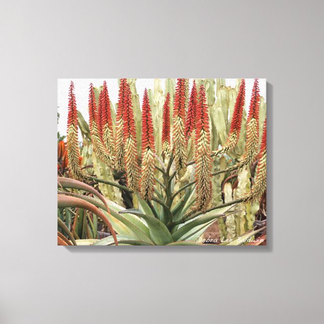 Impressão Em Tela Grande sozinho na floração (Frente)