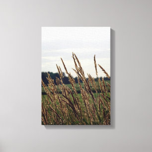 Impressão Em Tela Graus soprando no vento