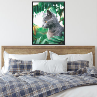 Impressão Em Tela Grey Gaze em Gato Verde