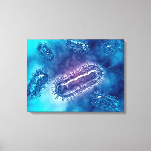 Impressão Em Tela Grupo De Bactérias Escherichia Coli 1 (Frente)