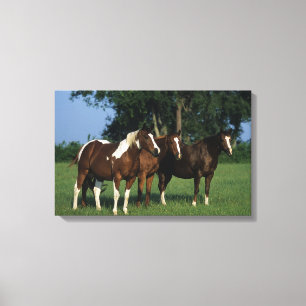 Impressão Em Tela Grupo de estar dos cavalos da pintura