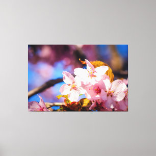 Impressão Em Tela Grupo De Flores Sakura, Rosa Suave, Fundo Azul