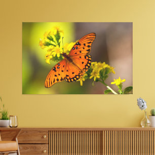 Impressão Em Tela Gulf Fritillary também conhecida como Borboleta da
