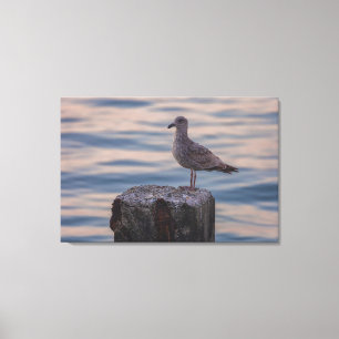 Impressão Em Tela Gull em Dusk