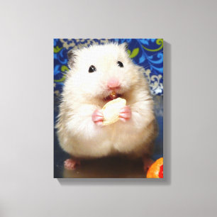 Impressão Em Tela Hamster sírio macio Kokolinka que come uma sement