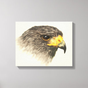 Impressão Em Tela Harris Hawk - meio misturado