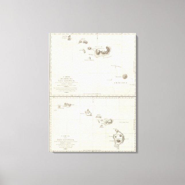 Impressão Em Tela Havaí (Frente)