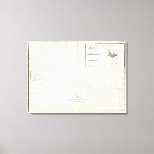 Impressão Em Tela Havaí 4 (Frente)