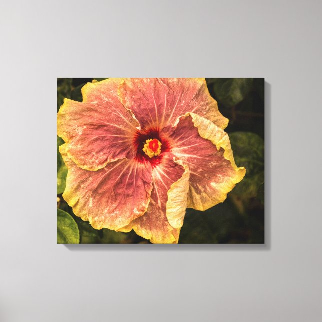 Impressão Em Tela Hawaiian Lilac Hibiscus do Kauai Photoógrafo (Frente)