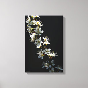 Impressão Em Tela Hawthorn Flowers 11x16,5 (27,5x41,25cm) waccn