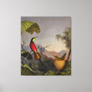 Impressão Em Tela HEADE - Desninho de Aves Hummingbird Crimson Topaz
