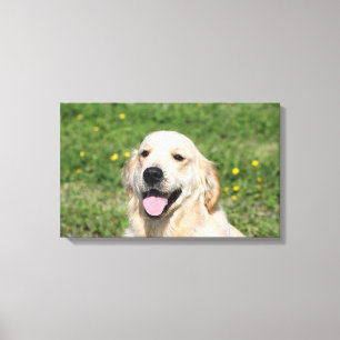 Impressão Em Tela Headshot 1 do golden retriever