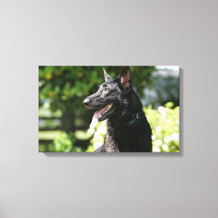 Impressão Em Tela Headshot 2 do german shepherd