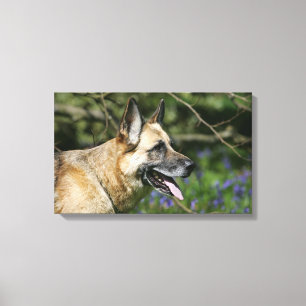 Impressão Em Tela Headshot 3 do german shepherd