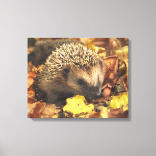 Impressão Em Tela Hedgehog No Outono