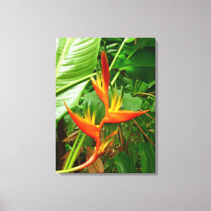 Impressão Em Tela Heliconia havaiano