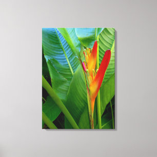 Impressão Em Tela Heliconia havaiano