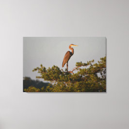 Impressão Em Tela Herão Azul excelente na Árvore Superior