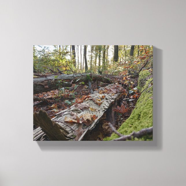 Impressão Em Tela Herbst (Frente)