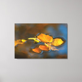 Impressão Em Tela Herbstblätter im See