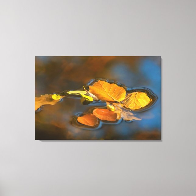 Impressão Em Tela Herbstblätter im See (Frente)