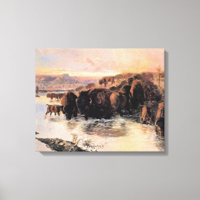 Impressão Em Tela Herd de Buffalo Americano (Frente)