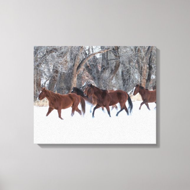 Impressão Em Tela Herd of Horses Running in Winters Snow (Frente)