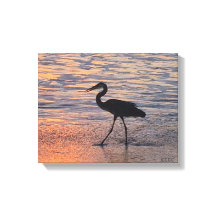 Heron na caminhada matinal