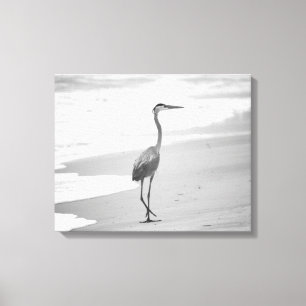 Impressão Em Tela Heron preto e branco caminhando na praia 16x20