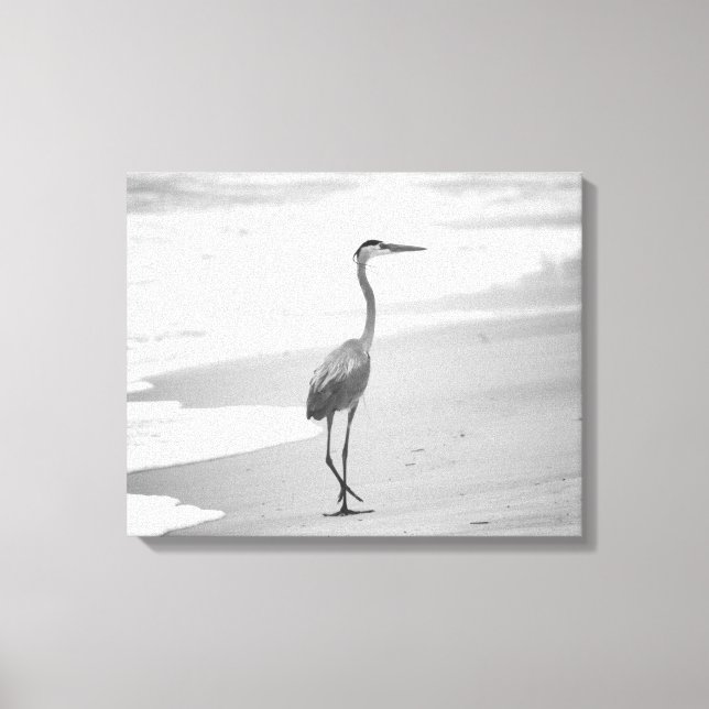 Impressão Em Tela Heron preto e branco caminhando na praia 16x20 (Frente)