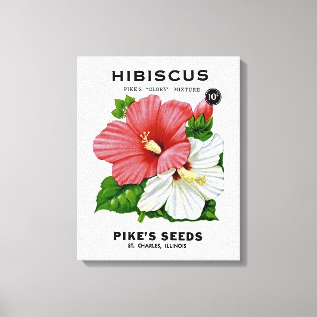 Impressão Em Tela Hibiscus Vintage Seed Packet (Frente)
