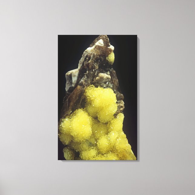 Impressão Em Tela Hidroboracite em Gorgeyite, Cazaquistão (Frente)