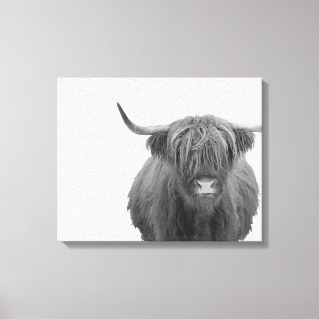 Impressão Em Tela Highland Cow Scotland Rustic Black White (Frente)