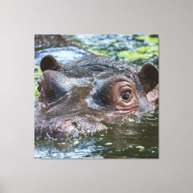 Impressão Em Tela Hippo No Triptych Da Água (Frente)