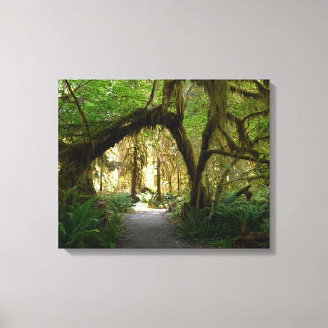 Impressão Em Tela Hoh RainForest Olimpiadas Penninsula Washington (Frente)
